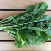 USA Seller Astro Arugula 500 Seeds Eruca Sativa - £7.71 GBP