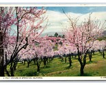 Fruit Orchard In Springtime California CA UNP WB Postcard C20 - £2.33 GBP