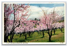 Fruit Orchard In Springtime California CA UNP WB Postcard C20 - £2.33 GBP