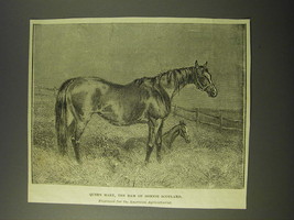 1887 Illustration of Queen Mary, The Dam of Bonnie Scotland - £14.77 GBP