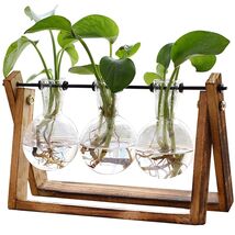 Unique Vintage Glass Air Planter with Sturdy Wooden Holder - 3 Bulb Design - $35.59