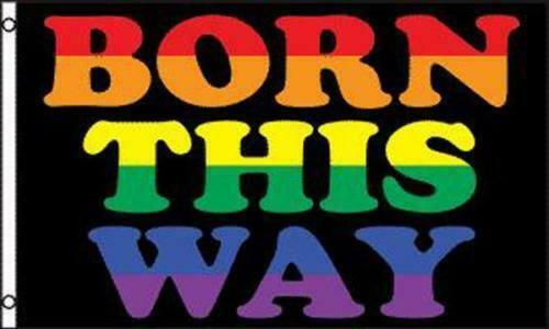 Primary image for 1 RAINBOW BORN THIS WAY 3 X 5 FLAG novelty new 3x5 advertizing flags FL499 gag