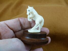(tb-horse-2) rearing wild Horse Tagua NUT palm figurine Bali love horses - $52.92