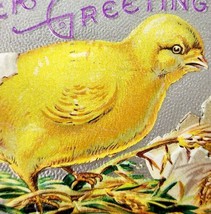 Easter Greetings 1910 Postcard Embossed Egg Hatching Chick Silver PCBG6D - $29.99
