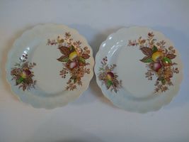 Ridgway Staffordshire England Devon Fruit Dinner Plates Platter Berry Bowls image 6