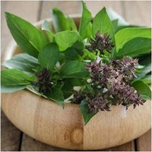 Thai Basil Seeds 25+ Seeds More Heirloom Organic Non Gmo Fruit Fresh - £8.50 GBP