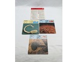 Lot Of (3) 1975 Rencontre Annelids To Arthropods Education Cards - $24.74