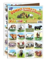 Memory Game Pexeso Animals from the Yard (Find the pair!), European Product - £5.76 GBP