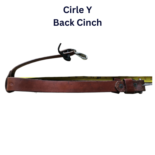 Circle y back cinch