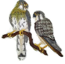 BeyondVision Nature Weaved in Threads, Amazing Birds Kingdom [American Kestrel P - £13.09 GBP