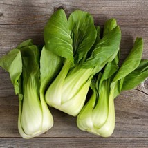 New Seeds Baby Bok Choy Seed Shanghai Pak Choi Seed USA Seller - £4.46 GBP