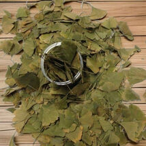 Pure Herbs: Ginkgo Combination -  4 oz. (Natural Herbal Ectracts) image 2