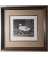 Duck and Ducklings J.F. Herring Fores&#39;s Series Mother Hand Painted Engra... - £302.00 GBP