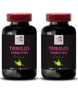 Tribulus Terrestris uses - TRIBULUS TERRESTRIS EXTRACT - Tribulus extrac... - $38.45 CAD