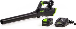 Greenworks 40V (110 MPH / 390 CFM) Cordless Axial Blower, 3.0Ah Battery and, 390 - £152.65 GBP
