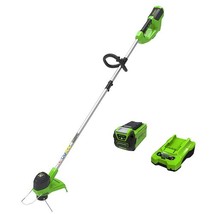 Greenworks 40V 12&quot; Cordless String Trimmer, 2.0Ah Battery and Charger In... - $10,776.13 MXN