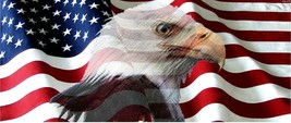 American Flag Eagle Adhesive Vinyl Wrap MATTE Laminated 12&quot;x36&quot; - $24.75