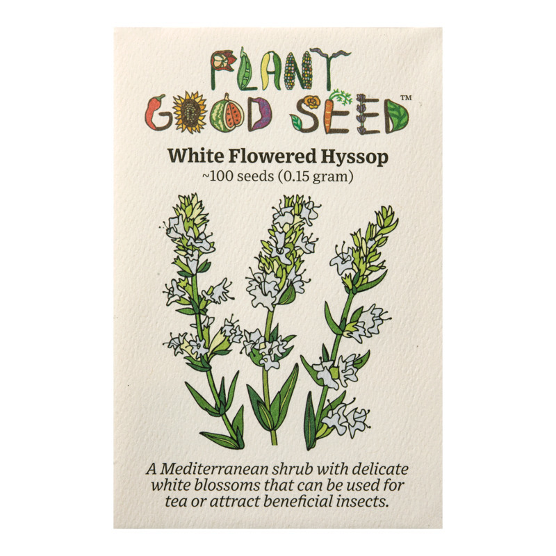 PSA White Flowered Hyssop Seeds Fast Grow - $14.43