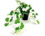 Ikea FEJKA Artificial Potted Plant Geranium /Hanging White New 805.064.73 - $37.88
