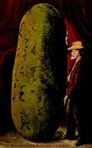 EDWARD H. MITCHELL EXAGGERATION POSTCARD-THIS IS HOW WATERMELONS GROW IN... - $3.47