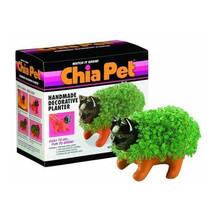 Chia Pet Planter - Kitten - £18.18 GBP