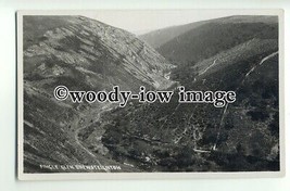 tp8874 - Devon - View along Fingle Glen, at Drewsteignton - Postcard - Chapman - £2.02 GBP