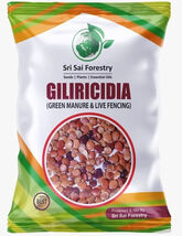 Gliricidia Sepium Tree Seebs 100 gram For Fodder Manure Live Fencing - $26.69