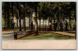 Medina OH Scene In The Park 1909 Lodi To Galion Ohio Postcard F46 - $9.95