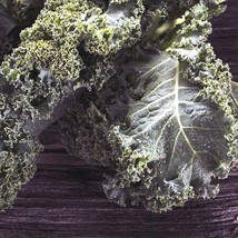 100Pcs Siberian Kale Vegetable Seeds Brassica Oleracea Seed - $19.84