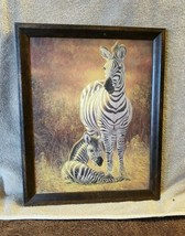 Giclee Zebra Art Print in Frame Mother and Baby Zebras - $7.92