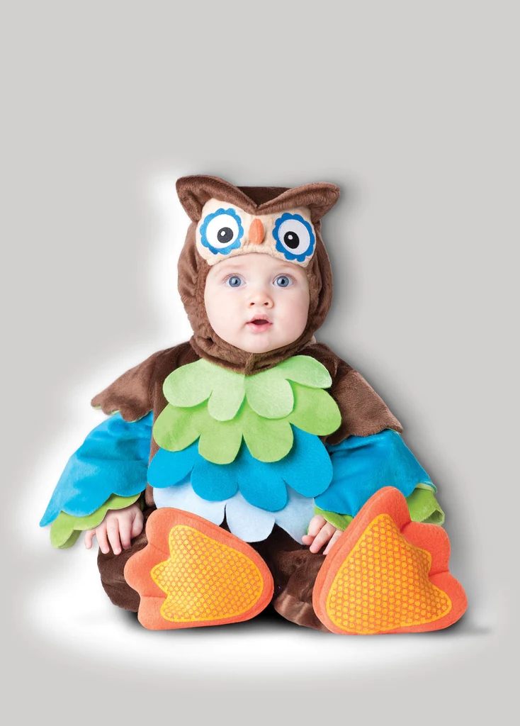 Incharacter What A Hoot Kids Costume Extra Small For 0-6 Month - £74.41 GBP