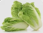 Chinese Michihli Cabbage Seeds Non GMO Organic Open Pollinated 1000Pcs - $6.99