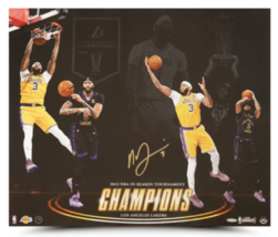 Anthony Davis Autographed &quot;Championship Resume&quot; 24x20 Photo UDA - $11,067.01 MXN