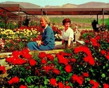 Pageant Rose Garden Whittier California City CA Advertising Chrome Postc... - £2.29 GBP