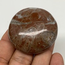 50g, 1.8&quot;x0.6&quot;, Natural Untreated Red Shell Fossils Round Palms-tone, F1129 - £4.68 GBP