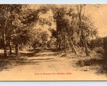 Drive in Riverside Park Sepia View Neligh NE Nebraska UNP DB Postcard G16 - £8.52 GBP