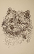 Keeshond Dog Breed Art Portrait Print #235 Kline draws your dogs name fr... - £39.52 GBP