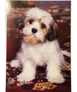 Vtg Impact 2000 Postcard  ( I PROMISE I WILL BE GOOD) - RON KIMBALL 1989... - $9.90