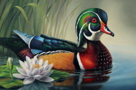 wood duck in marsh lily flower garden wildlife ceramic tile mural backsplash - £46.60 GBP+