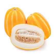 Korean Musk Melon Seeds  Neungju Golden Sweet Non-GMO Size:10- 100 韩国黄金瓜甜瓜香瓜种子 - £1.96 GBP+