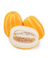 Korean Musk Melon Seeds  Neungju Golden Sweet Non-GMO Size:10- 100 韩国黄金瓜... - £1.96 GBP+
