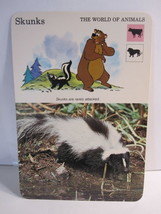 1978 Walt Disney&#39;s Fun &amp; Facts Flashcard #DFF1-24: Skunks - £1.50 GBP