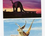 Wall Drug Postcards Flying Jack A Lope &amp; 80 Foot Dinosaur Wall SD Badlan... - £17.08 GBP