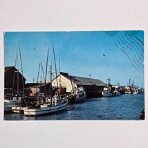 Postcard Fishing Fleet Delivering To Tom Lazio Fish Co. Eureka Californi... - $9.55