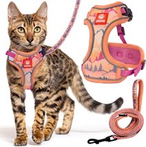 Petgrove Cat Harness and Leash Set Escape Proof Vest for Walking - $23.55