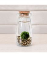 DIY Clear Glass BOttle W/Cork Stopper 2&quot;x4&quot; Empty. - $321.71 MXN