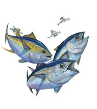 Bluefin Yellowfin Tuna Fish High Quality Graphic Art Decal Car Boat Cup ... - $6.95+