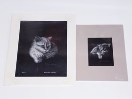 Scratchwork Art Carol Kehler Hemdal Cat Kitten-(1)Signed/ Numbered-8x10&quot;... - $26.52