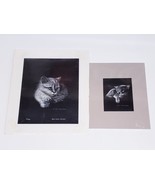 Scratchwork Art Carol Kehler Hemdal Cat Kitten-(1)Signed/ Numbered-8x10&quot;... - £31.10 GBP