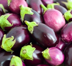 Round Eggplant Seeds 50 Vegetable Culinary Asian Cuisine Beautifully Fresh Garde - £4.78 GBP